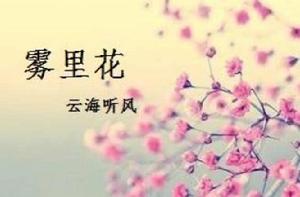 霧裡花 霧裡花