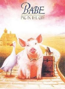 小豬進城 小豬進城