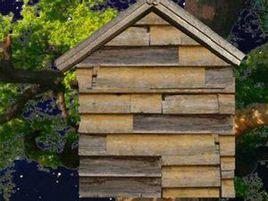 樹上的房子 樹上的房子