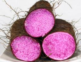 紫玉淮山 紫玉淮山