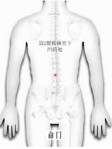 命門穴