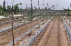 地面灌溉