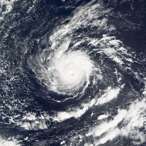 颱風鴻雁雲圖