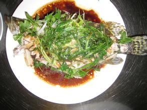 網包鰱魚 網包鰱魚