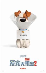 愛寵大機密2 愛寵大機密2