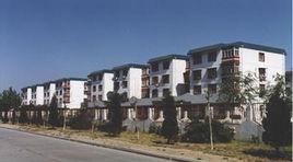 郝莊村[山東省聊城市莘縣張寨鄉下轄村]