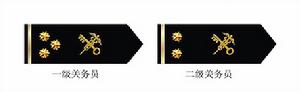這是關務員肩章圖片，左邊的是一級關務員