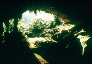 尼阿洞穴