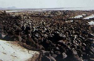 海洋的地質作用