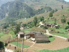 水田村[雲南省宜良縣狗街鎮水田村]