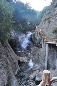 吳家山森林公園 吳家山森林公園