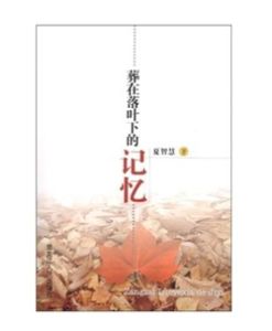 葬在落葉下的記憶 葬在落葉下的記憶