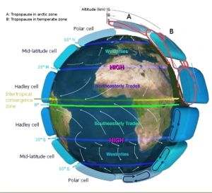 全球大氣環流模型