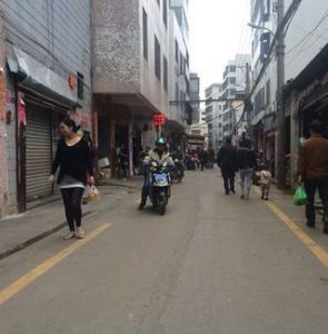 金宇街道 金宇街道