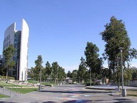 迪肯大學 迪肯大學