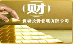 貢瑞投資 貢瑞投資