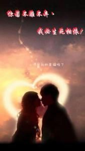 你若不離不棄我必生死相依 你若不離不棄我必生死相依