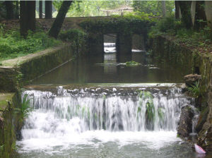 龍潭森林公園[江蘇南山景區]