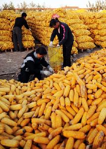 王哥莊街道辦事處