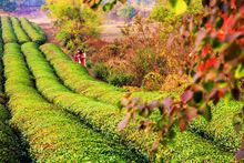 南昌[江西省省會]