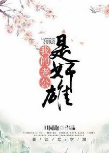 我的老公是奸雄 我的老公是奸雄