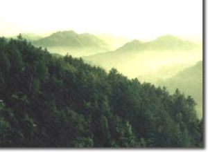 萬聖屯森林公園