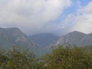 茶木自然村 茶木自然村