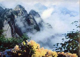 碧山風景區 碧山風景區