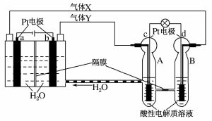電極反應式 電極反應式