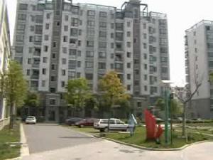 嘉樂之春 嘉樂之春