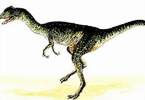 （圖）中國雙棘龍