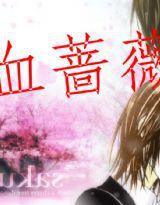 血薔薇 血薔薇