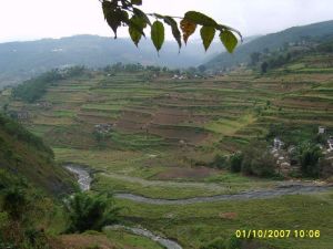 土么塘新村 土么塘新村