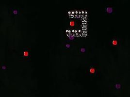 鬼臉貪吃蛇 鬼臉貪吃蛇