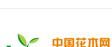 中國園林花木網 中國園林花木網