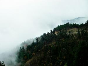 明月山國家森林公園