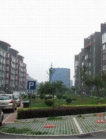 距陣一期 距陣一期