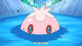 普魯水母 普魯水母