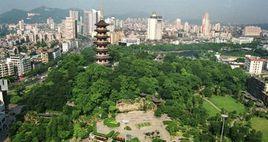 溫州九山 溫州九山