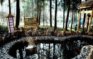 雞公山依雲森林溫泉 雞公山依雲森林溫泉