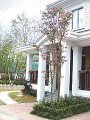 保利房地產（集團）股份有限公司