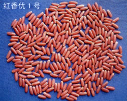 （圖）大灣鄉[浙江省]