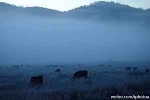 清晨[朝鮮2012年推出的平板電腦產品]