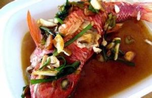 龍舟活魚 龍舟活魚