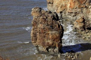 駱駝山海濱森林公園