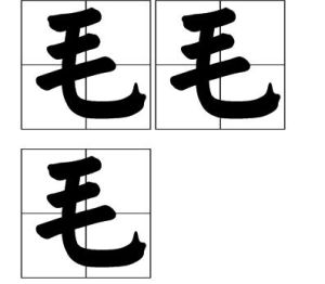 毛毛毛 毛毛毛