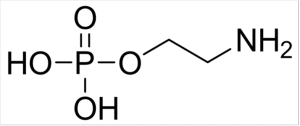 磷酸乙醇胺