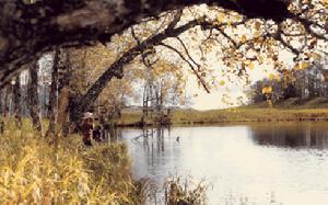 （圖）長白山老虎背高山花園