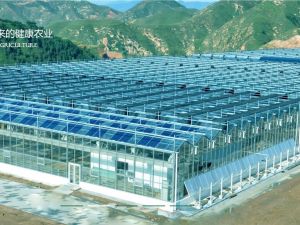 東田農品 東田農品