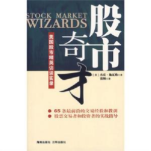 股市奇才：美國股市精英訪談實錄